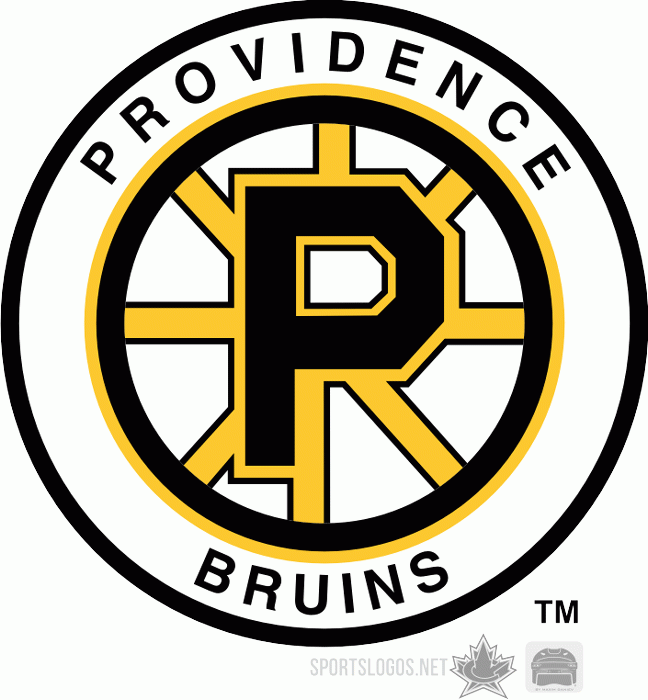 Providence Bruins 1995 96-Pres Alternate Logo iron on heat transfer